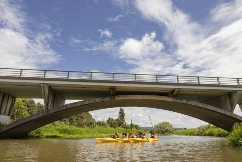 Hallertau Clevedon Kayak Tour - Practical Details and Tips for the Tour