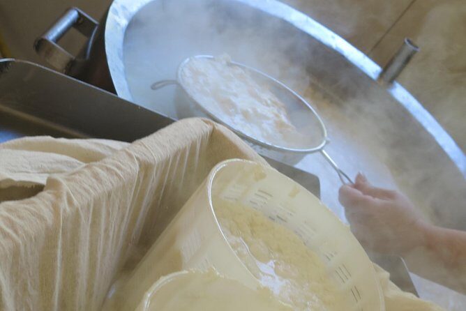 Halloumi Heaven: Cheese-Making Class & Troodos Mountain Villages 8h - FAQ