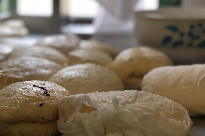 Halloumi Heaven: Cheese-Making Class & Troodos Mountain Villages 8h - A Deep Dive into the Halloumi Heaven Tour
