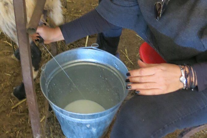 Halloumi Heaven: Cheese-Making Class & Troodos Mountain Villages 8h - FAQ