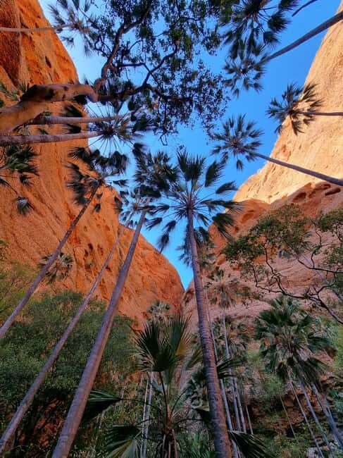Halls Creek to Bungles: Fly /Drive + Aboriginal local guides - Final Thoughts: Is This Tour Right for You?
