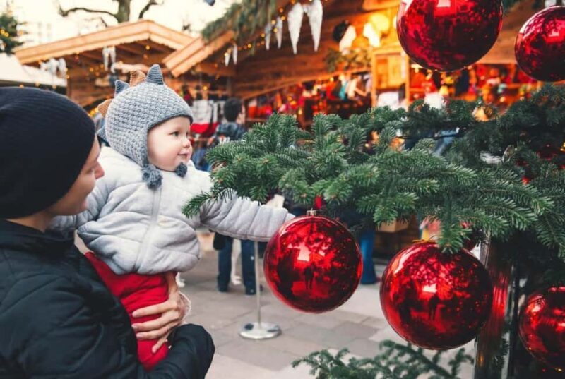Hallstatt Christmas Markets Small-Group Day Trip from Vienna - Who Will Love This Tour?