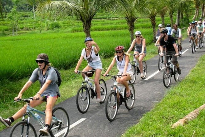Halo Bike Cycling Tour Downhill - Discovering Bali’s Countryside on Two Wheels