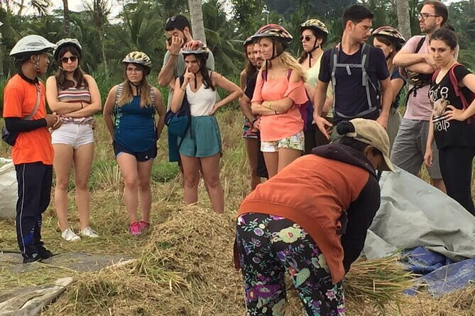 HALO BIKE Downhill Bali Countryside Cycling Tour - Key Points