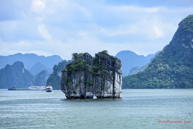 Halong Bay 6 Hours Cruise with Buffet, Sung Sot, Luon Cave, Titop - Key Points
