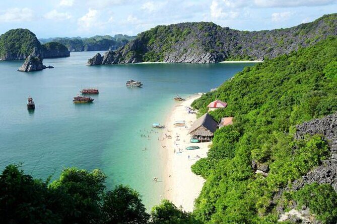 Halong Bay Cruise 3 Days - 2 Nights with 4 Star Luxury - What Travelers Say