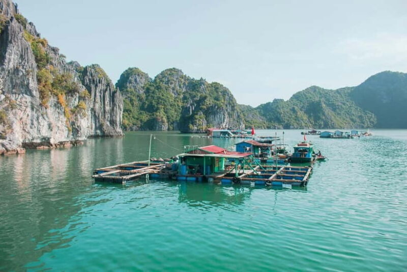 Halong Bay: Day Cruise from Halong Port Shore Excursion - Experience the Wonders of Halong Bay with a Half-Day Cruise from Halong Port