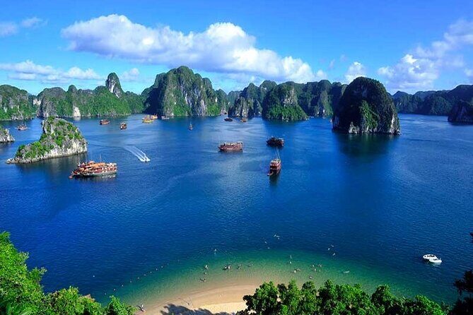 Halong Bay Day Tour With Titop Island, Cave, Kayak & Lunch - What Travelers Say: Authentic Perspectives