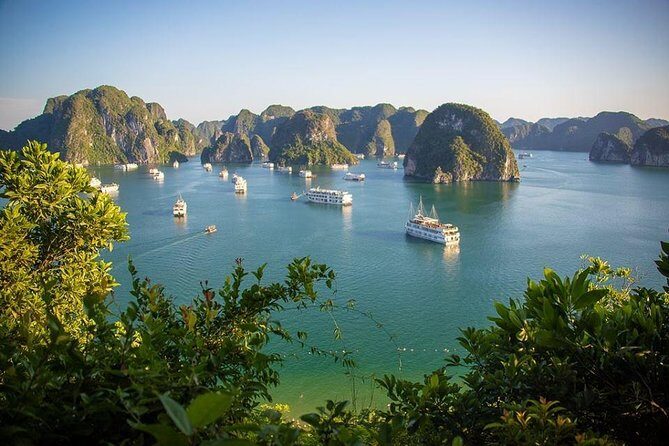 Halong Bay In Just One Day with Ti Top Island - What the Reviews Say