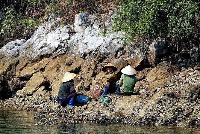 Halong bay one day trip from Hanoi - The Sum Up: Who Should Book This Tour?