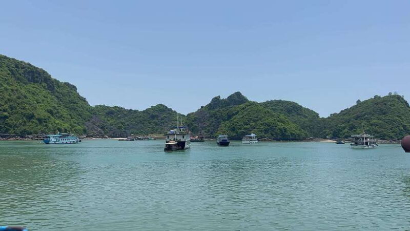 Halong Bay Sightseeing Cruise Full Day Tour With Buffet - Key Points