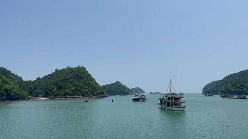 Halong Bay Sightseeing Cruise Full Day Tour With Buffet - Cruising through the Emerald Waters