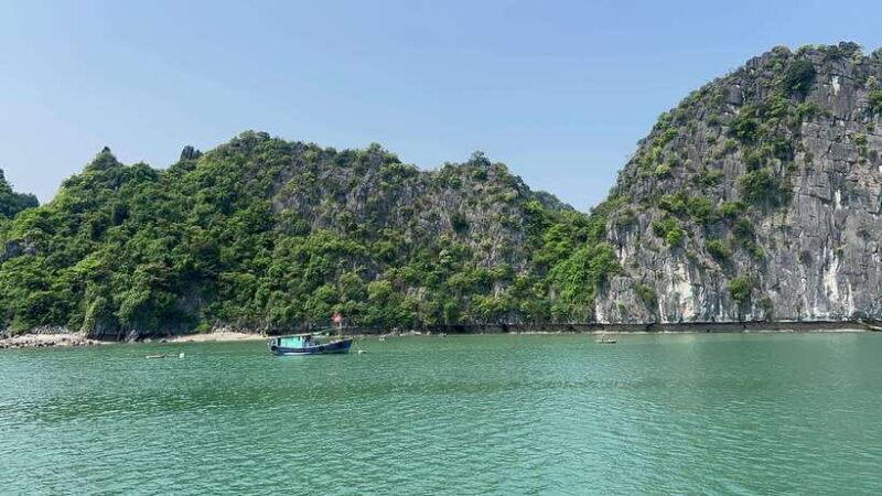 Halong Bay Sightseeing Cruise Full Day Tour With Buffet - The Buffet Lunch and Cultural Touches