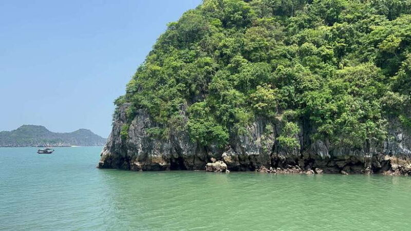 Halong Bay Sightseeing Cruise Full Day Tour With Buffet - Practical Details That Matter