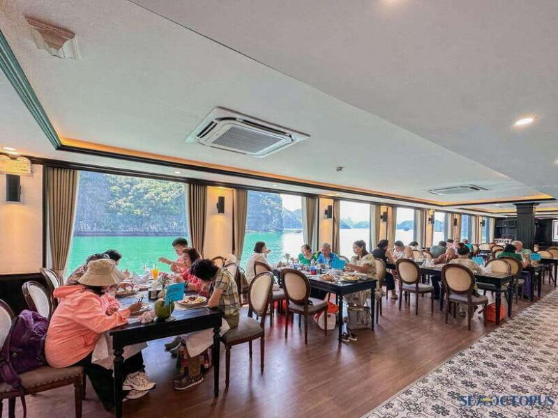 Halong Bay TOP 5-Star Luxury Day Cruise with Buffet Lunch - The Experience Provider: Authentic Travel DA NANG