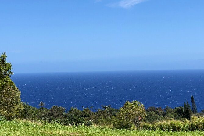 Hamakua Coast Farm Small-Group Walking and Tasting Tour - Who Would Love This Tour?