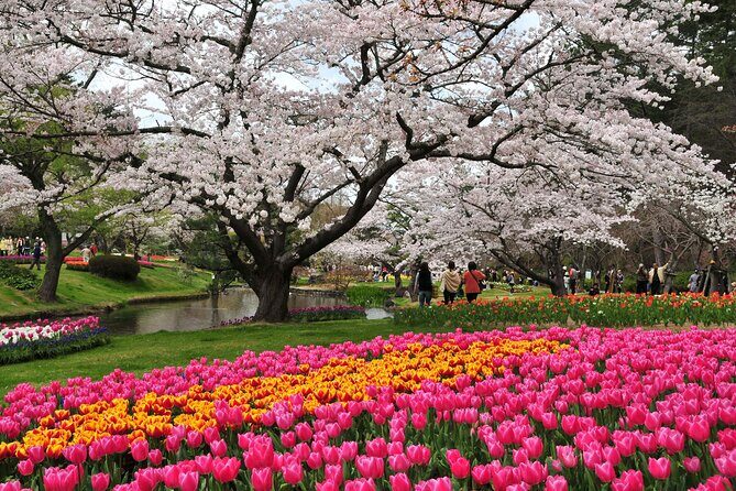 Hamamatsu Flower Park & Lake Hamana Private Tour with Public Bus - An In-Depth Look at What You Can Expect
