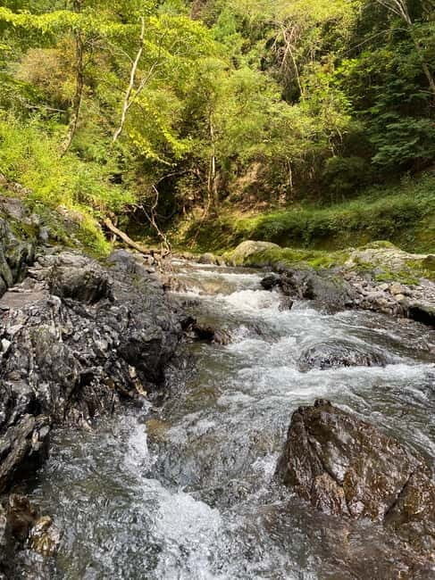 Hamamatsu Japan: Riverside Camping - Exploring Riverside Camping in Hamamatsu: What You Can Expect