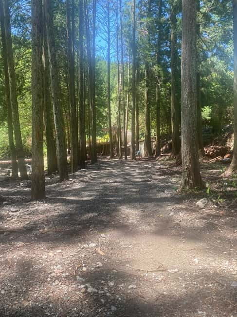 Hamamatsu Japan: Riverside Camping - FAQ