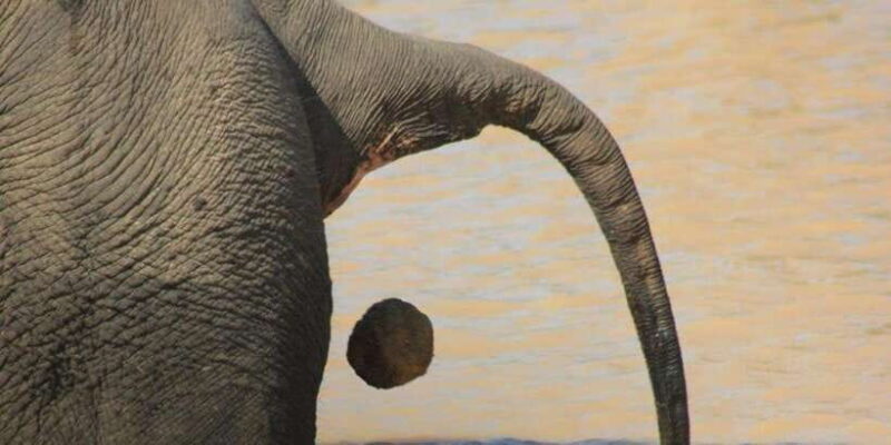 Hambantota Port Cruise: YALA Wildlife Safari (6 hours) - The Scenic Break at Patanangala Beach