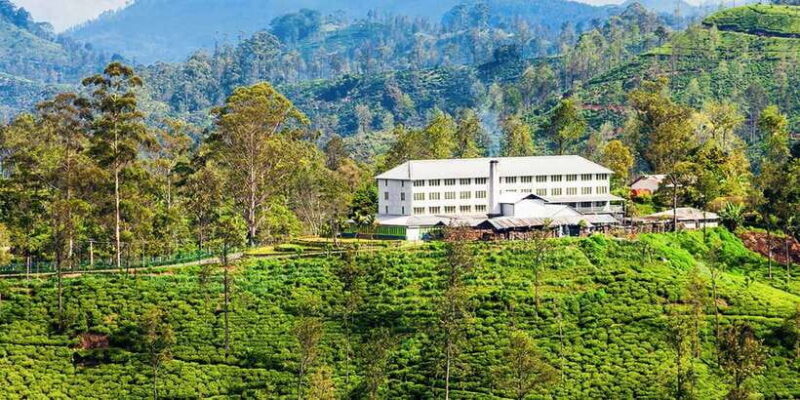 Hambantota/Tangalle/Hiriketiya: Ella Highlands Day Tour - Exploring the Itinerary: What You Can Expect