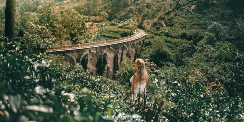 Hambantota/Tangalle/Hiriketiya: Ella Highlands Day Tour - Who Will Love This Tour?