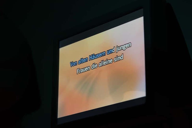 Hamburg: 1.5-Hour International Karaoke Bus Tour - Key Points