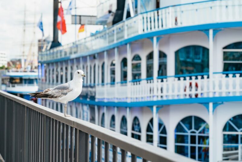 Hamburg: 1-Hour Harbor Sightseeing Cruise with HafenCity - Key Points
