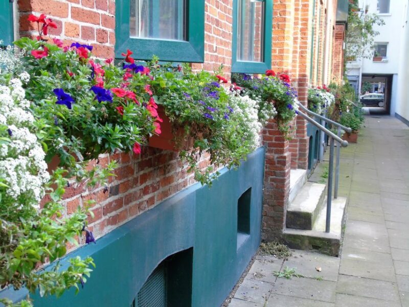 Hamburg: 2-Hour St. Georg Walking Tour - Valuing the Experience: Is It Worth It?