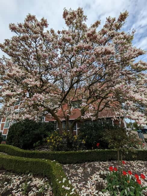 Hamburg Country Side - Altes Land - Key Points