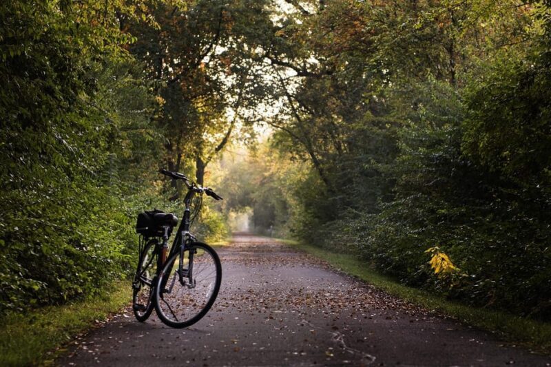 Hamburg: English Bike Tour - Around the Outer Alster Lake - Key Points