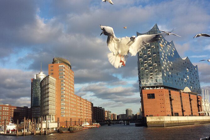 hamburg Experienced differently with wish rental bike relaxed enjoy - Hamburg Experienced Differently with Wish Rental Bike: A Relaxed and Authentic City Tour