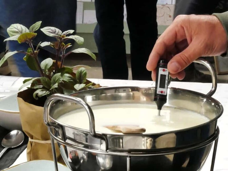 Hamburg: Mozzarella course with accompanying wines - Discovering Hamburg’s Mozzarella & Wine Experience