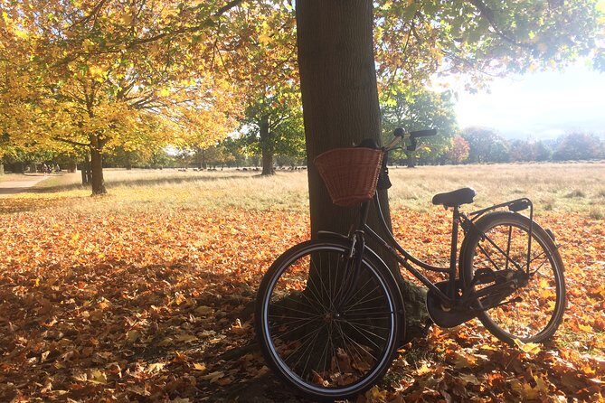 Hampton Court Palace Grounds Bike Tour - What’s Included and What’s Not