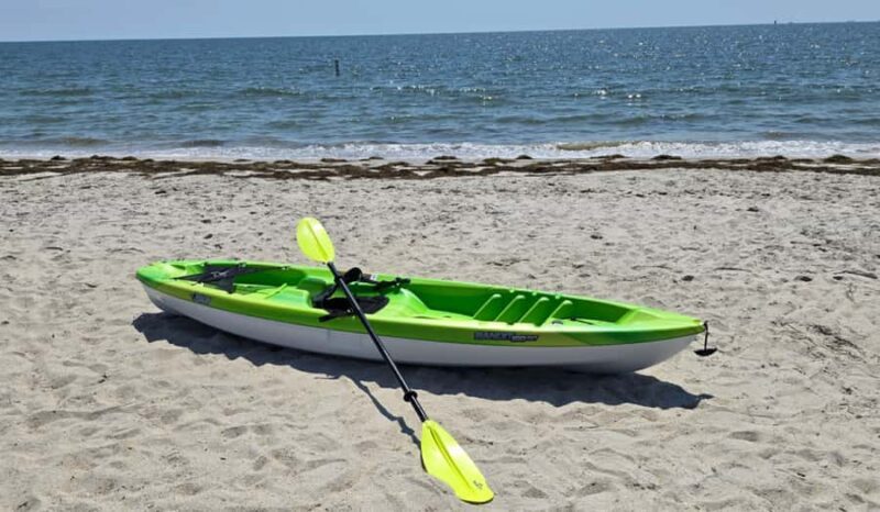 Hampton: Sit-on-Top Kayak Rental at Buckroe Beach - Key Points