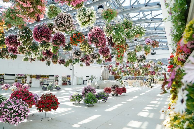 "HANA-BIYORI" A New Sensation Flower Park in Tokyo - A flower park with a different rhythm
