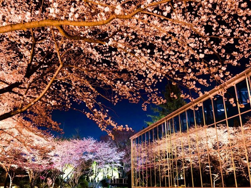 "HANA-BIYORI" A New Sensation Flower Park in Tokyo - How much time to set aside