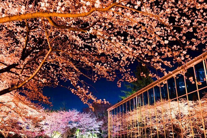 Hana Biyori Flower Park Admission Ticket in Tokyo - Location and Getting There