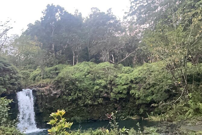 Hana Private Road Tour up to13 passengers - Who Will Love This Tour