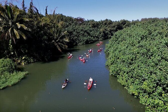 Hanalei Bay PM Kayak & Snorkel in Kauai - The Sum Up: Who Will Love This Tour?