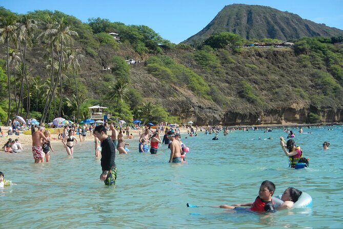 Hanauma Bay Admission Tickets with Transportation - Key Points