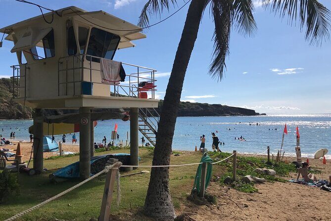 Hanauma Bay Admission Tickets with Transportation - The Detailed Experience