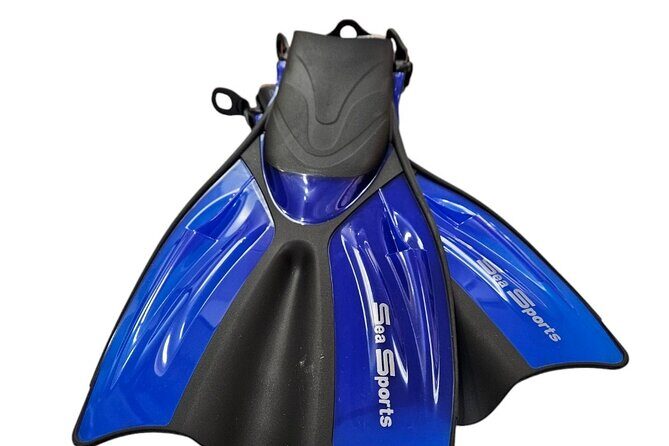 Hanauma Bay Experience with Admission Ticket and Equipment - FAQ