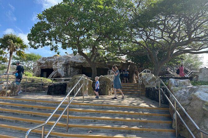 Hanauma Bay Snorkel Lesson - Who Should Book This Tour?
