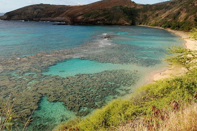 Hanauma Bay Snorkeling - Why Choose the Hanauma Bay Snorkeling Tour?