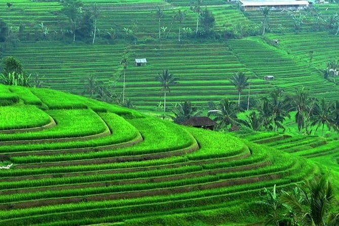 Handara Gate, Bratan Temple & Insta Spots - An In-Depth Look at the Northern Bali Tour