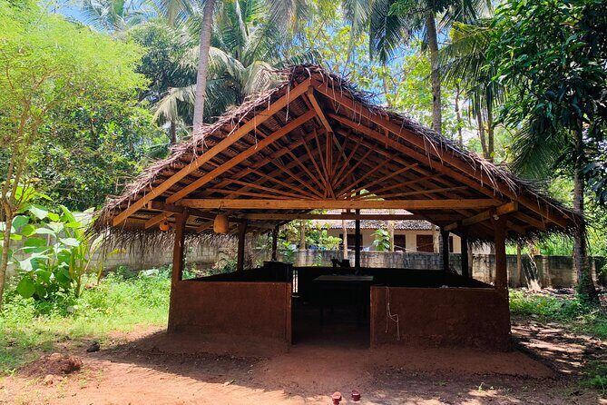Hands-On Cooking Class in Anuradhapura-Cook Like a Local - An Authentic Taste of Sri Lankan Village Life