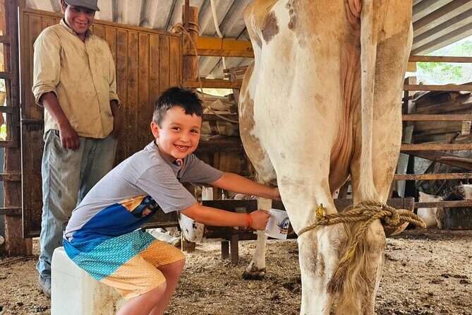 Hands-on Mexican Farm Experience: from Cow to Cheese - An Honest Look at the Farm Experience