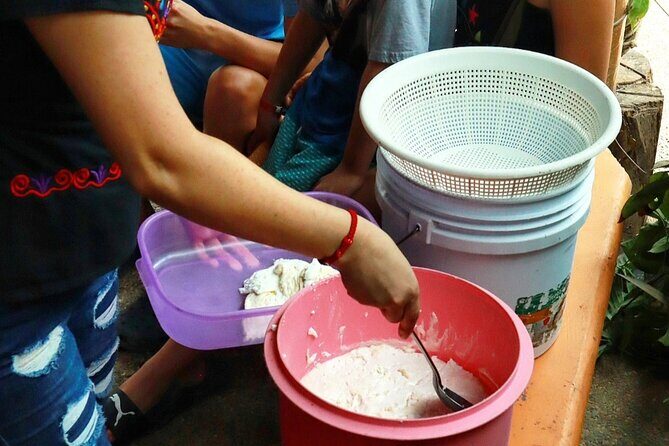 Hands-on Mexican Farm Experience: from Cow to Cheese - Potential Drawbacks and Considerations