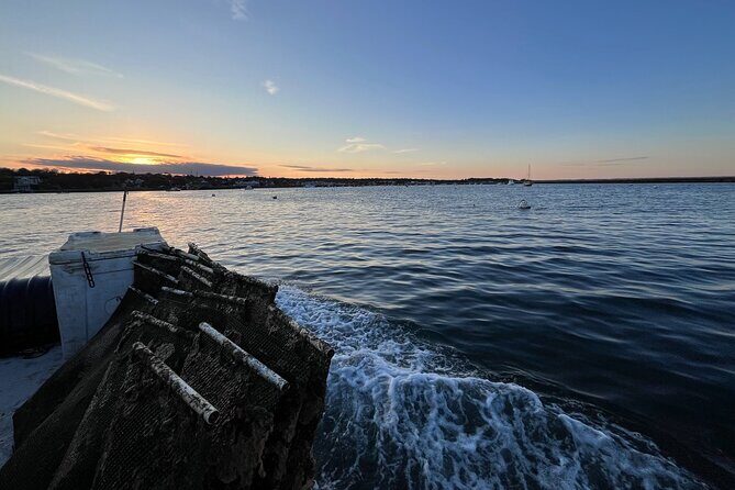 Hands-On Oyster Farm Experience in Plymouth - FAQs